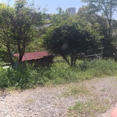 ドアパンチ修復願いの画像