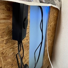 小鳥用温室　(内容要相談)の画像