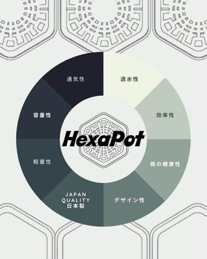 ヘキサポット　5号　10個　