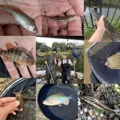 27.日本淡水魚&ガサガサ採集            ✨ラ…