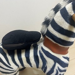 しまうまの乗り物🦓の画像