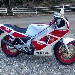 TZR250 2XT の画像