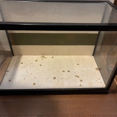 コレクションケースの画像