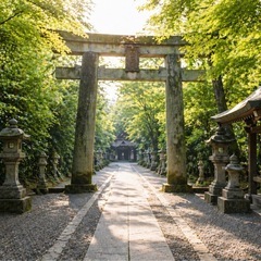 カフェや神社巡りを楽しめるお友達募集😊