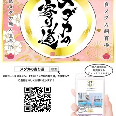『メダカの寄り道』無人直売所オープンです！の画像