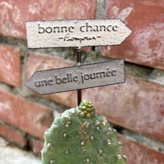 ウチワサボテン
の画像