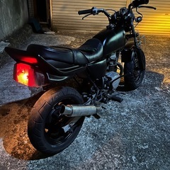 人気　エイプの画像