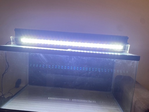 GEX Progre 90cm水槽 上部フィルター LEDライト エアーポンプセット