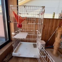 猫ちゃん用ケージ3段の画像
