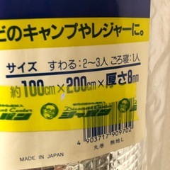 未使用 キャンピングマット　日焼けマットの画像