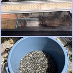 [決まりました]90cm x 30cm水槽と水槽台、LEDライトつきの画像