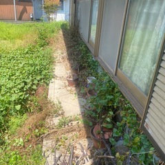 全て廃棄済み　植木鉢が必要な方差し上げますの画像