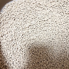 猫の砂　トイレ　セット　キャットの画像