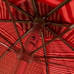 ハーディエイミス折りたたみ雨傘未使用
の画像