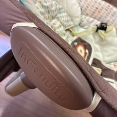 電動バウンサーの画像