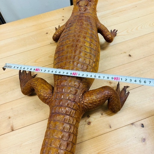 ワニの剥製⑤