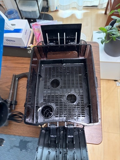 60ワイド水槽のみです！5月中限定。
