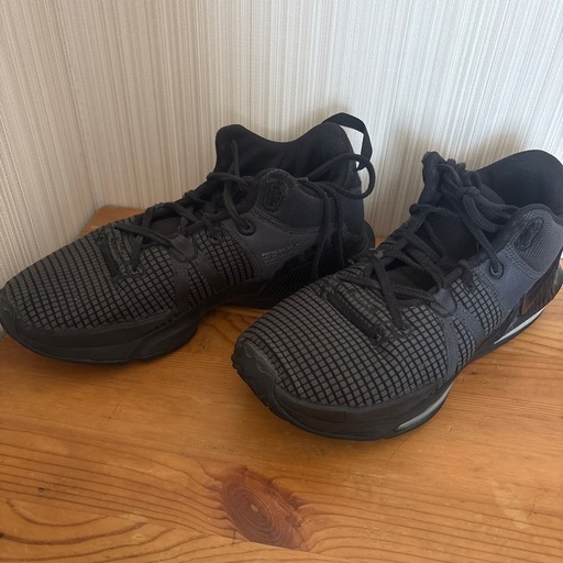バッシュ　バスケットシューズ　NIKE 29センチ