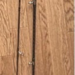 5月6日まで　バス釣竿 ダイワ　バスX  メガバス　オロチの画像