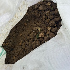 家庭菜園の土、差し上げます。 第一候補者の方と日程調整中です。
の画像