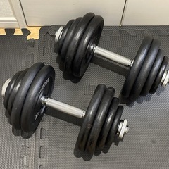 IROTEC  ダンベル　60kgセット　(片手30kg X2セット ) の画像