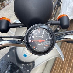 HONDA     Today  原付 トゥデイの画像