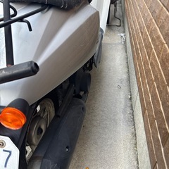 HONDA     Today  原付 トゥデイの画像