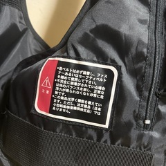 ウォーターロックス ショートライフベスト の画像