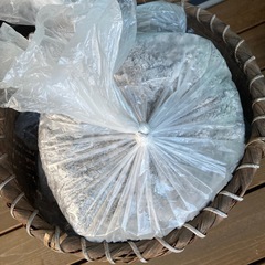 広葉樹の灰
の画像