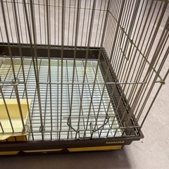 大きい鳥カゴ　小動物でもの画像