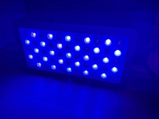 海水水槽 LED照明 ブラックボックス ミドリイシにも！ 海水水槽 LED照明 ブラックボックス ミドリイシにも！ 【公式通販】