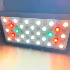 海水水槽 LED照明 ブラックボックス ミドリイシにも！の画像