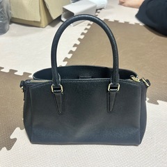 こーコーチの画像