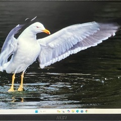 23.8型モニタ MSI PRO MP2412の画像