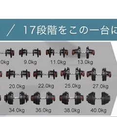可変式ダンベル5kg〜40kg 2個セットの画像
