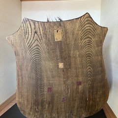 イノシシの剥製 壁掛け可能の画像
