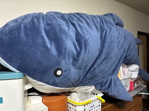 サメ