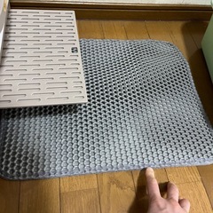 猫の自動トイレの画像