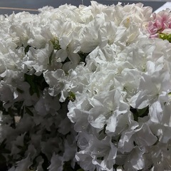 GW空いてる人募集✨