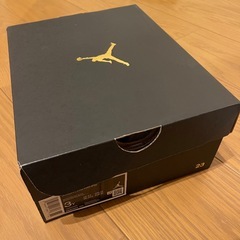 Nike PS Air Jordan 3 Retro "Fire Red" 22cmの画像