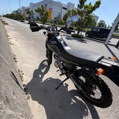 セロー225weの画像