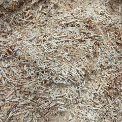 木材   おがくず 2袋セットの画像