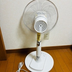山善 扇風機 YLX-LD302 2015年製 /J045-30②の画像