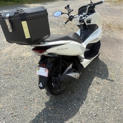 ホンダ　　PCX125 JF81　の画像