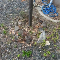 【庭石あげます（無料）持って帰り放題】の画像