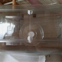 ハムスターケージの画像