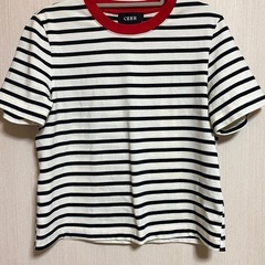 CIDER Tシャツの画像