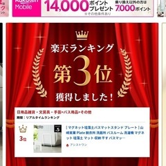 浮かせる収納　珪藻土バスマットスタンドの画像