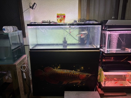 水槽セット