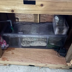 水槽セットの画像